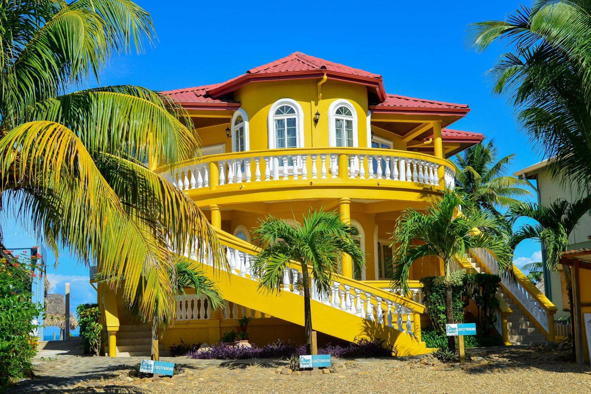 Blue Parrot Beach House And Villas Хопкінс Екстер'єр фото